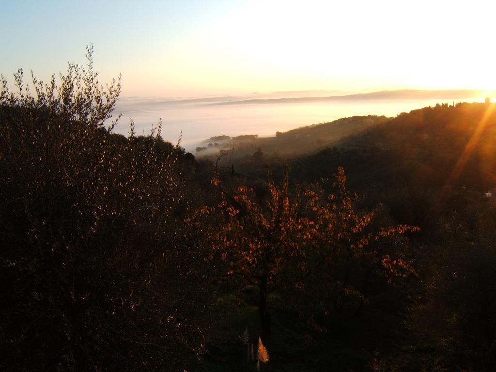 Villa Santa Maria Montalcino Exterior photo